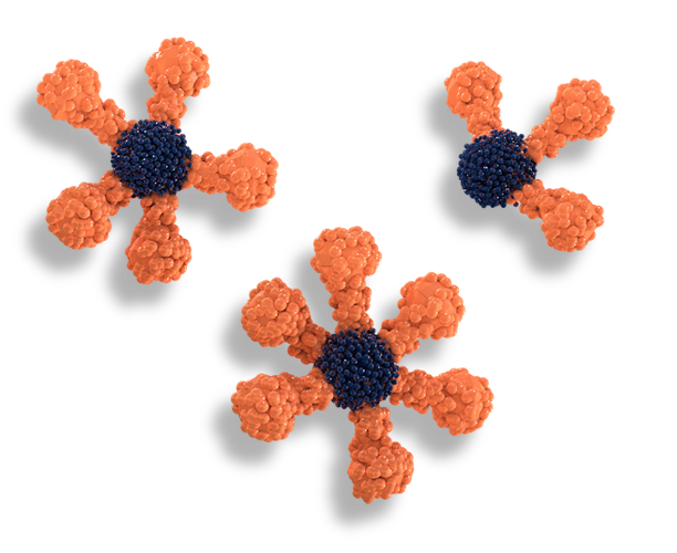 orange antigens image